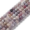 Natural Plum Blossom Tourmaline Beads Strands G-I355-01A-02-1