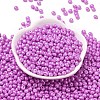 6/0 Glass Seed Beads X1-SEED-L011-08A-26-2