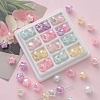 Transparent Crackle Acrylic Beads OACR-I013-01-1