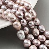 Natural Cultured Freshwater Pearl Beads Strands  PEAR-P062-13F-2