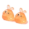 Luminous Resin Rabbit Ornament CRES-M020-03F-1