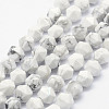 Natural Howlite Beads Strands G-F523-28-6mm-1
