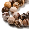 Natural Zebra Jasper Beads Strands G-C079-B01-01-4