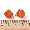 Glass Charms GLAA-P072-04G-10-3