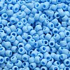 TOHO 6/0 Round Beads SEED-XTR06-0403F-4