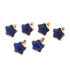 Natural Lapis Lazuli Stud Earrings EJEW-H153-01G-01-2