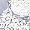 Opaque Glass Seed Beads SEED-S023-01A-01-1
