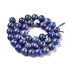 Natural Lapis Lazuli Beads Strands G-E483-17-10mm-6