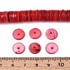 Natural Freshwater Shell Beads Strands SHEL-N037-03A-04-4