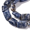 Natural Blue Spot Jasper Beads Strands G-T047-B10-01-4