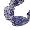 Natural Blue Spot Jasper Beads Strands G-P548-B10-01-3