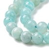 Natural Amazonite Round Beads Strands G-A025-01A-4