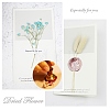 DIY Scrapbook AJEW-WH0100-406-4