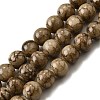 Natural Striped Stone Beads Strands G-D315-A01-03-12mm-2