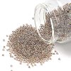 MIYUKI Round Rocailles Beads X-SEED-G007-RR3645-1
