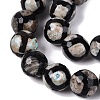 Tibetan Style Natural Agate dZi Beads Strands G-Q606-12MM-01-3