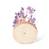 Natural Amethyst Chips with Brass Wrapped Wire Money Tree on Wood Base Display Decorations DJEW-B007-05B-3