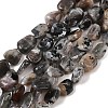 Natural Moonstone Beads Strands G-A284-A01-02-2