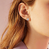 12Pcs 2 Colors 304 Stainless Steel Cuff Earrings EJEW-HS0001-40B-5