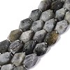 Natural Labradorite Beads Strands G-Q608-11E-2