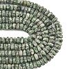 Natural Green Spot Jasper Beads Strands G-L654-I13-01-5