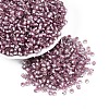 Silver Lined Glass Seed Beads SEED-T007-18A-10-1