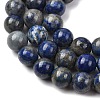 Natural Lapis Lazuli Round Bead Strands G-E262-01-10mm-4