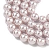 Electroplated Shell Pearl Beads Strands X-BSHE-G041-6mm-06-3
