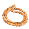 Natural Dolomite Beads Strands G-F765-G07-01-3