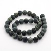 Frosted Natural Kambaba Jasper Beads Strands G-M272-14-8mm-2