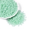 Transparent Glass Seed Beads SEED-Q041-01K-2