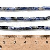 Natural Blue Spot Jasper Beads Strands G-P600-B05-01-5