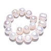 Natural Cultured Freshwater Pearl Beads Strands PEAR-N013-10F-4