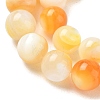 Natural Yellow Shell Beads Strands SH-CBACA76-16C-3