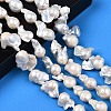 Natural Baroque Pearl Keshi Pearl Beads Strands PEAR-N019-12A-6