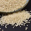 MIYUKI Delica Beads SEED-X0054-DB1560-4