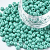 6/0 Glass Seed Beads SEED-S058-A-F439-1