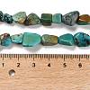 Natural HuBei Turquoise Beads Strands G-P497-01E-19-5