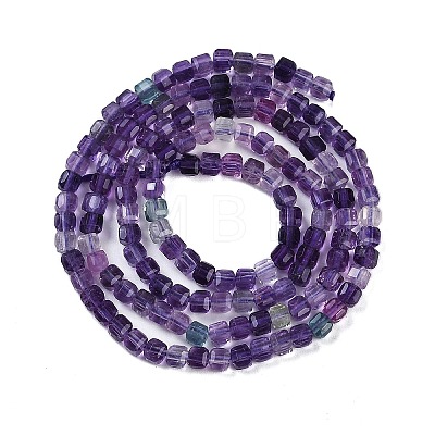 Natural Purple Fluorite Beads Strands G-P553-E02-02-1