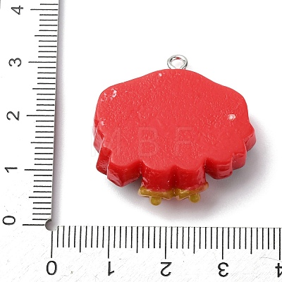 Christmas Opaque Resin Pendants RESI-A049-05K-1