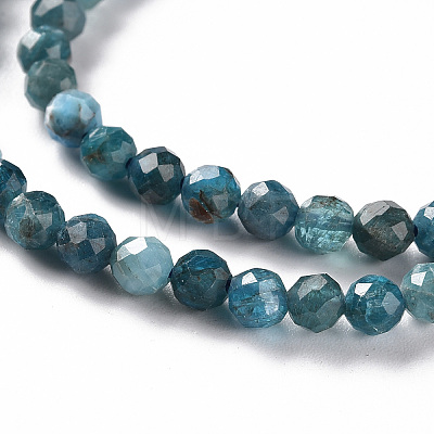 Natural Apatite Beads Strands X-G-S362-110C-1