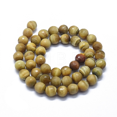 Natural Gold Tiger Eye Beads Strands G-D0013-70B-1