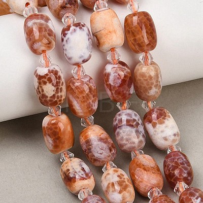 Natural Fire Crackle Agate Beads Strands G-K393-G01-10x14-1