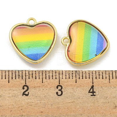 Rainbow Color Opaque Resin Charms KK-M290-04B-G-1