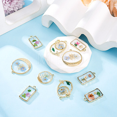 10Pcs 2 Styles Transparent Resin Pendants RESI-TA0005-61-1