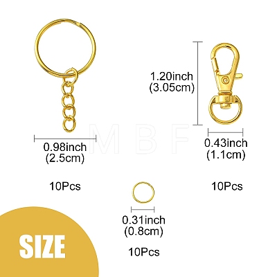 10Pcs Alloy Swivel Lobster Claw Clasps IFIN-YW0003-41-1