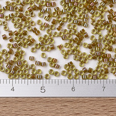 MIYUKI Delica Beads X-SEED-J020-DB1738-1