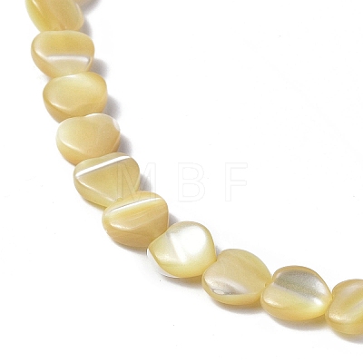 Natural Trochid Shell/Trochus Shell Beads Strands SHEL-F003-08C-1