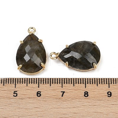 Natural Labradorite Faceted Pendants G-K347-05G-02-1