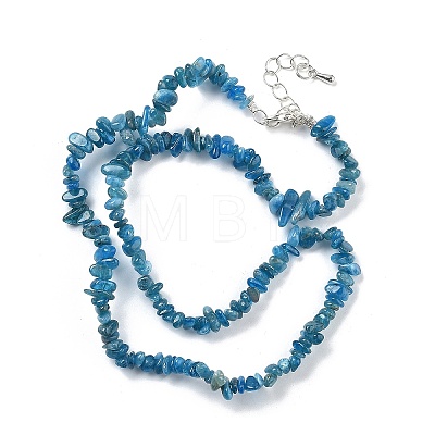 Natural Apatite Chip Beaded Necklaces for Men Women NJEW-G159-01I-1